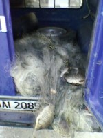 SP_A0037.jpg (111.38 KiB) Viewed 31060 times SP_A0037.jpg