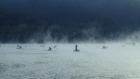 DSC02420.jpg
