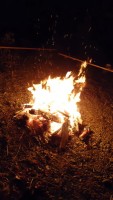 DSC02778.jpg