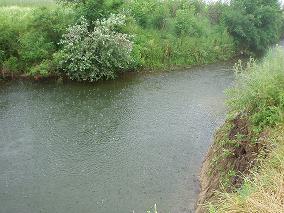 P1010032.JPG
