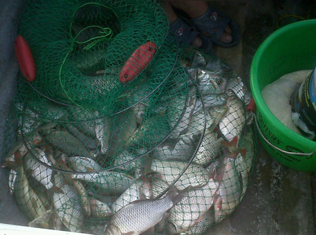 IMG01307-20120821-18261.jpg