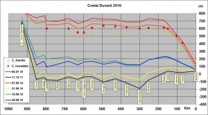 Cote Dunare 29 August 2016