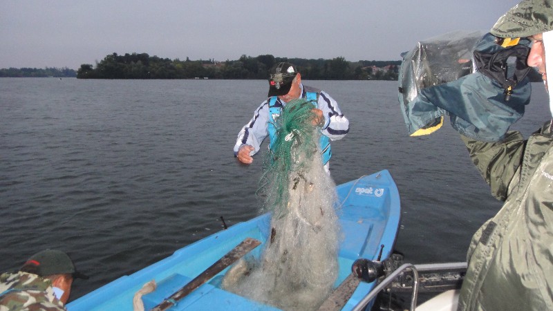 Ce se gaseste dimineata pe lac