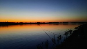IMG-20200915-WA0013.jpg