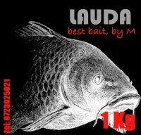 Lauda BBbb by M.jpg